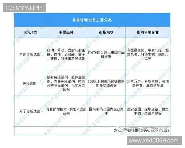 武汉乒乓球队转型之路的挑战与机遇全景观察