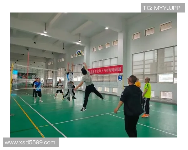 深圳排球队的速度之美与战术解析探秘排球运动的魅力与激情 深圳排球队的速度之美与战术解析探秘排球运动的魅力与激情