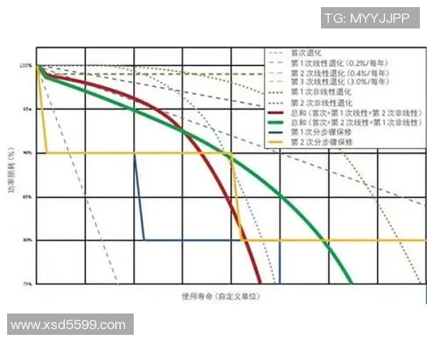 足球明星的语言多样性探讨及其对全球文化的影响 足球明星的语言多样性探讨及其对全球文化的影响