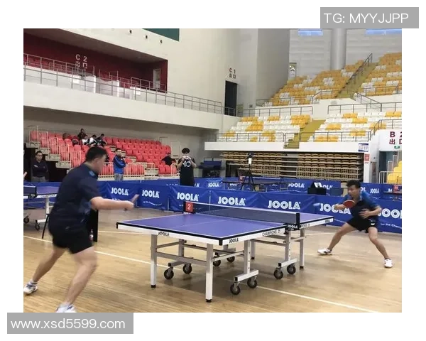 陈磊谈乒乓球生涯与成长历程的深刻反思与未来展望 陈磊谈乒乓球生涯与成长历程的深刻反思与未来展望