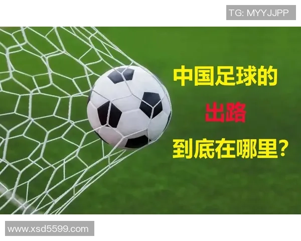 专访王丽：解密网球成功之道