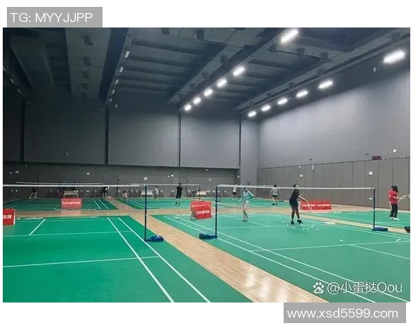 聚焦羽毛球：深圳羽毛球队的技术话题
